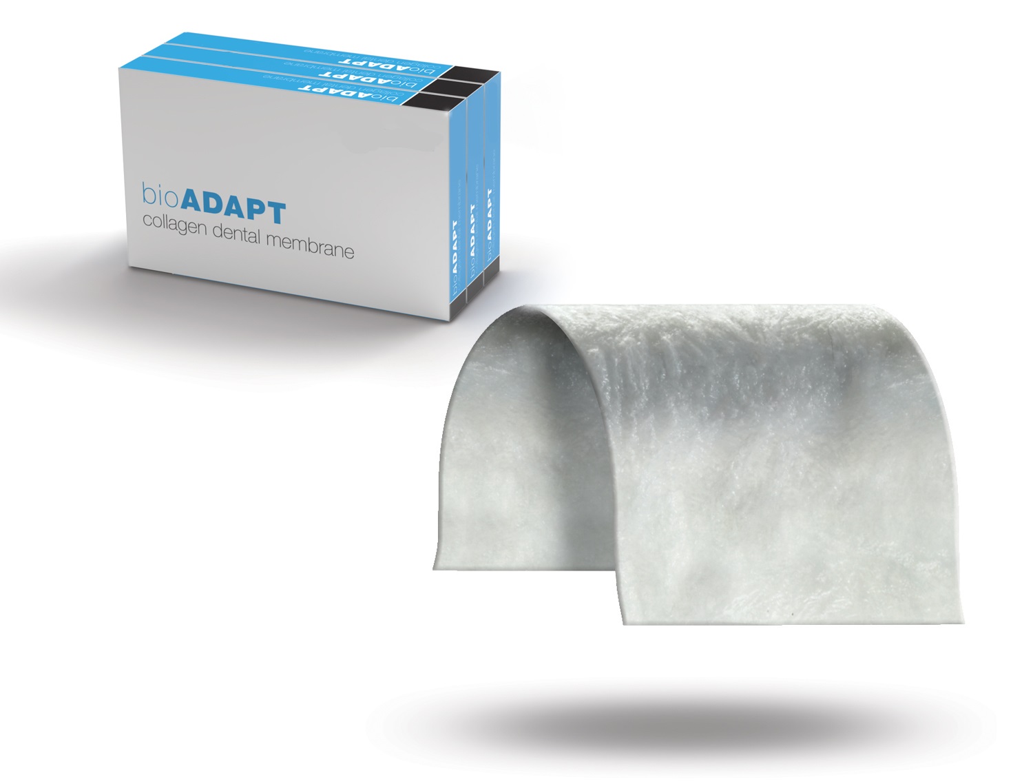 bioXEN Allograft