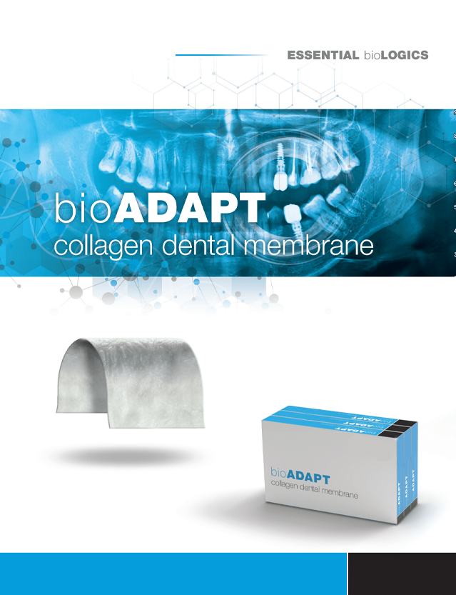 bioXEN Allograft