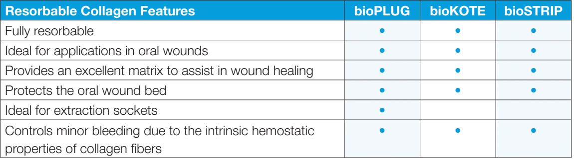 bioXEN Allograft